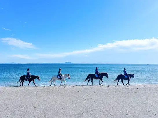 画像:ホーストレッキング イメージ